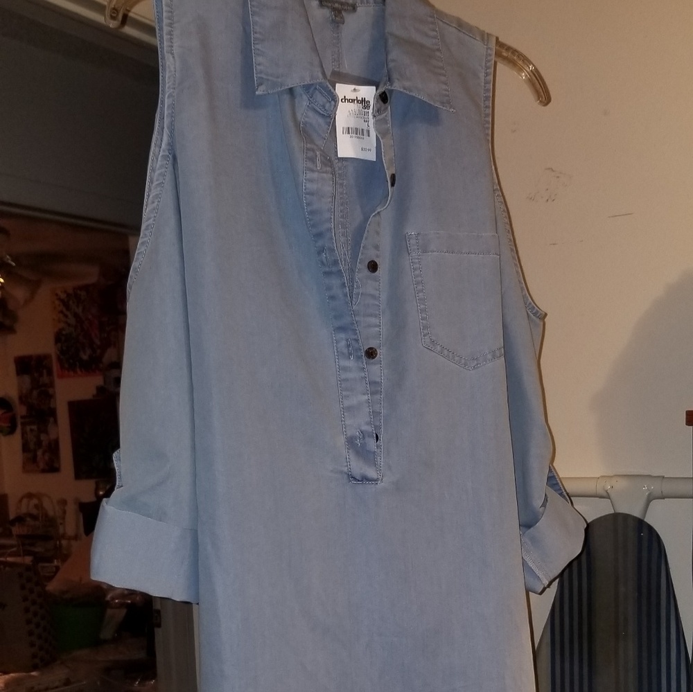 Charlotte Russe demin dress